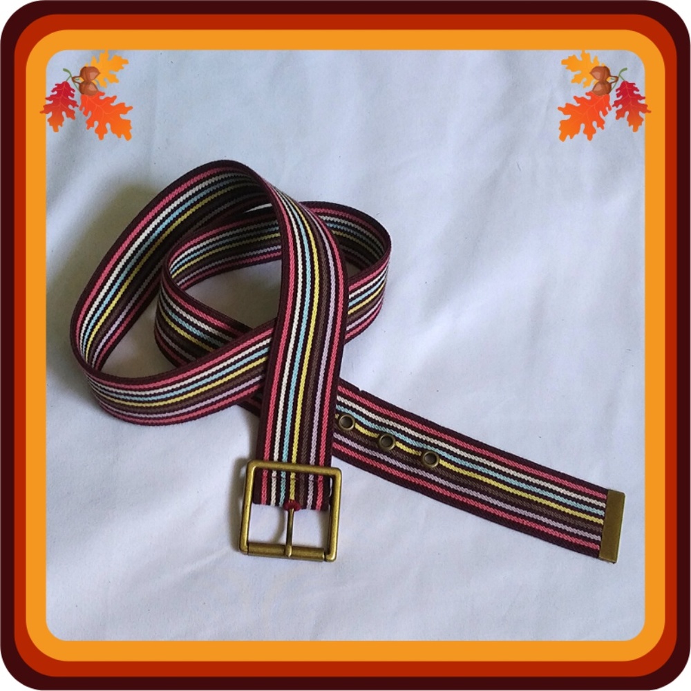 AEO Striped Elastic Buckle Belt